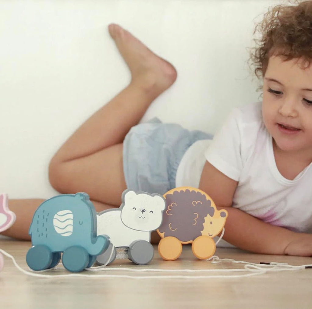 ERIZO
